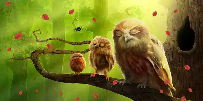 Play Owls Live Wallpaper Trial