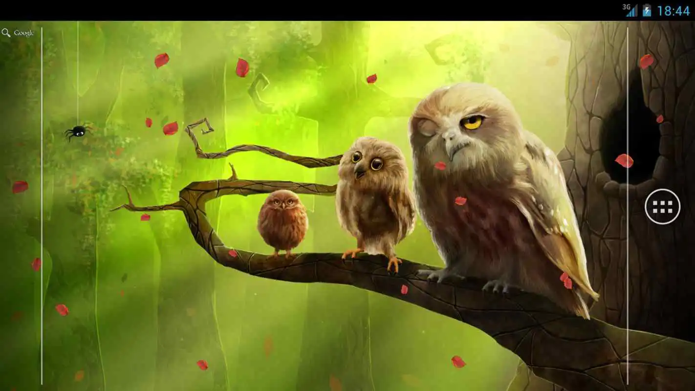 Play Owls Live Wallpaper Trial