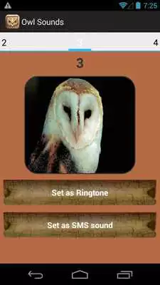 Play Owl Sound Collection