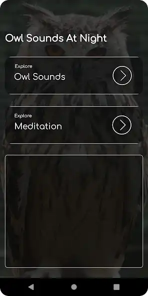 Play Owl Sounds At Night and enjoy Owl Sounds At Night with UptoPlay Play Owl Sounds At Night and enjoy Owl Sounds At Night with UptoPlay