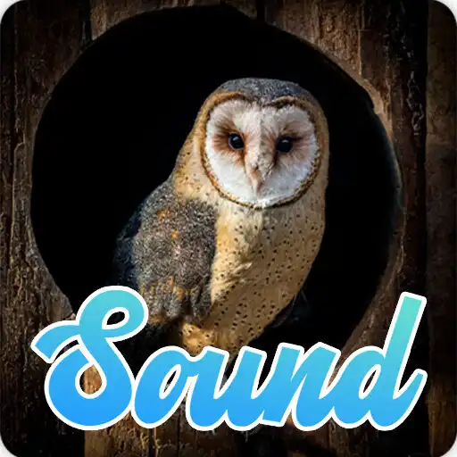 Play Owl Sounds Effect APK