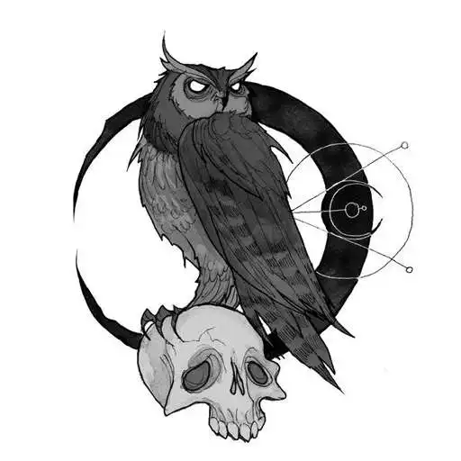 Play Owl The Best HD Walpaper 2021 APK Play Owl The Best HD Walpaper 2021 APK