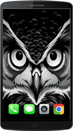 Play Owl The Best HD Walpaper 2021 as an online game Owl The Best HD Walpaper 2021 with UptoPlay