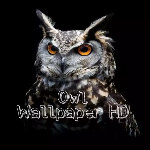 Play Owl Wallpaper HD APK Play Owl Wallpaper HD APK