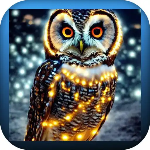 Play Owl Wallpapers 4K APK
