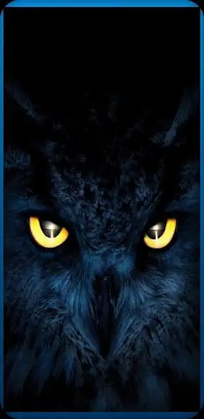 Play Owl Wallpapers 4K  and enjoy Owl Wallpapers 4K with UptoPlay