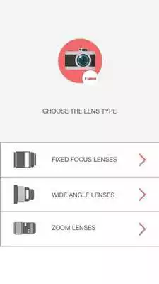 Play Owlzoom Play Owlzoom