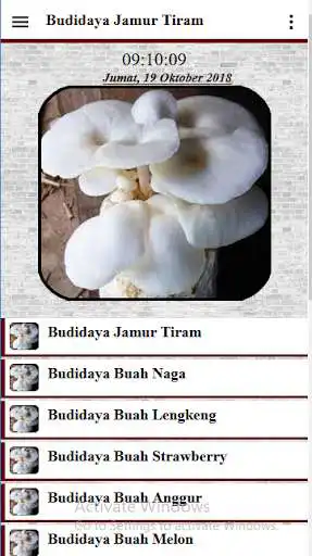 Play APK Oyster Mushroom Cultivation and enjoy Oyster Mushroom Cultivation with UptoPlay com.Budidayajamur.Tiram Play APK Oyster Mushroom Cultivation and enjoy Oyster Mushroom Cultivation with UptoPlay com.Budidayajamur.Tiram