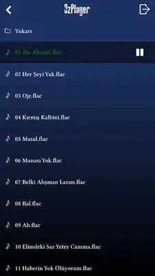 Play ozplayer