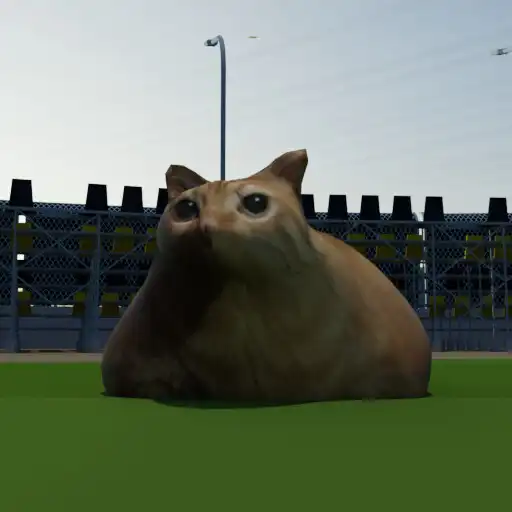 Play Pablo Cat Race Game APK