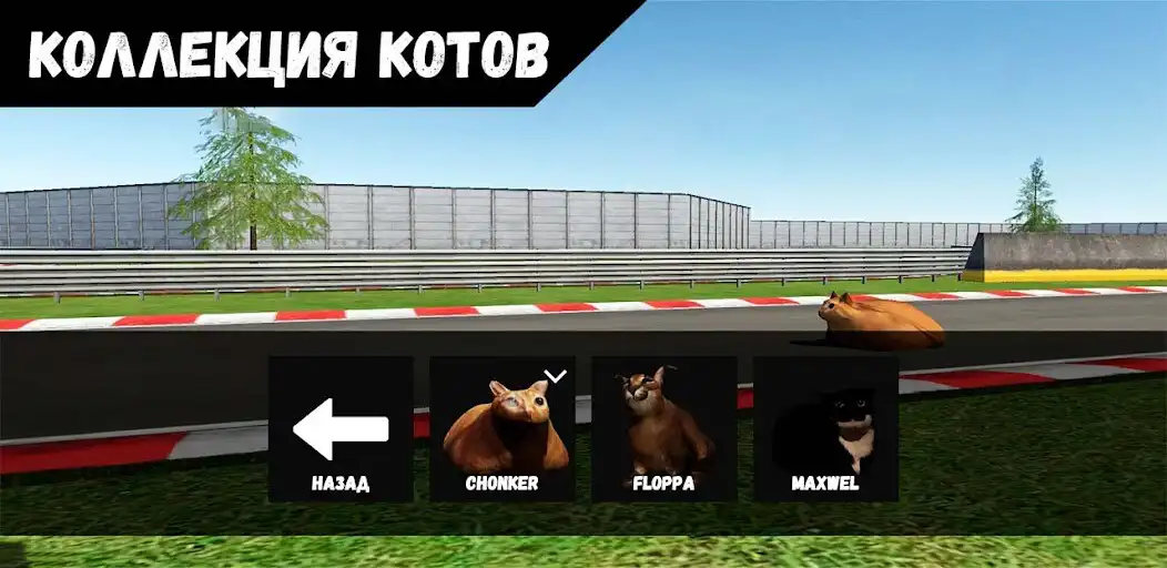 Play Pablo Cat Race Game as an online game Pablo Cat Race Game with UptoPlay
