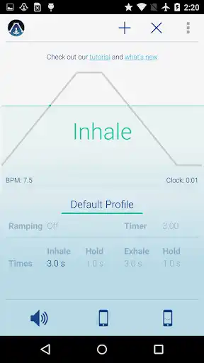 Play Paced Breathing as an online game Paced Breathing with UptoPlay