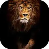 Free play online Pace of Lion theme for XLocker APK