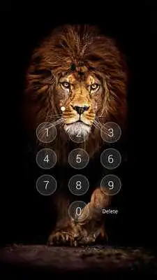 Play Pace of Lion theme for XLocker