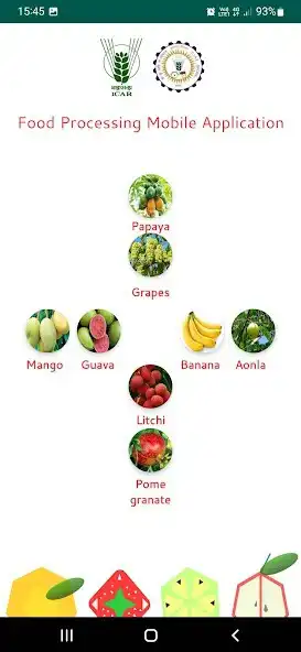 Play Package for Fruit Processing and enjoy Package for Fruit Processing with UptoPlay Play Package for Fruit Processing and enjoy Package for Fruit Processing with UptoPlay