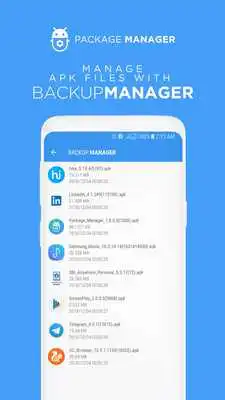 Play Package Manager