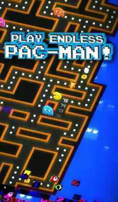 Play PAC-MAN 256