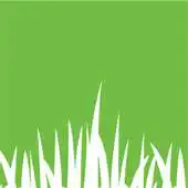 Free play online Paddocks APK