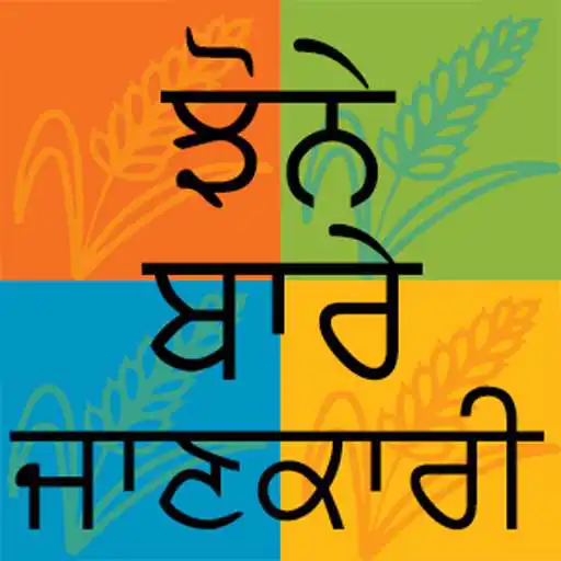 Play Paddy DSS APK Play Paddy DSS APK