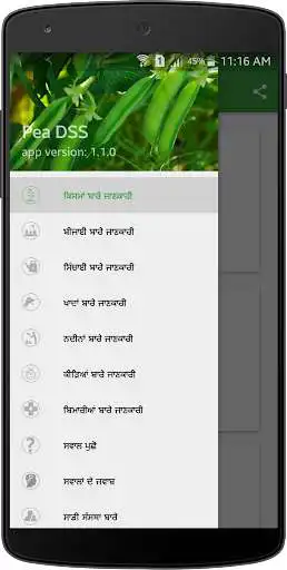 Play Paddy DSS  and enjoy Paddy DSS with UptoPlay