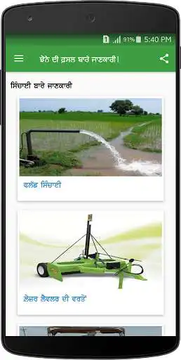 Play Paddy DSS as an online game Paddy DSS with UptoPlay