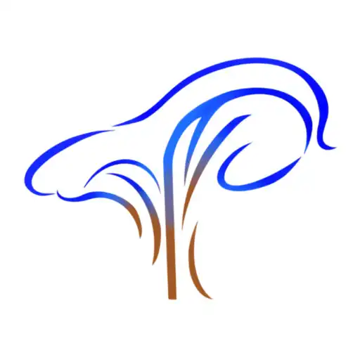 Play padonamu APK Play padonamu APK