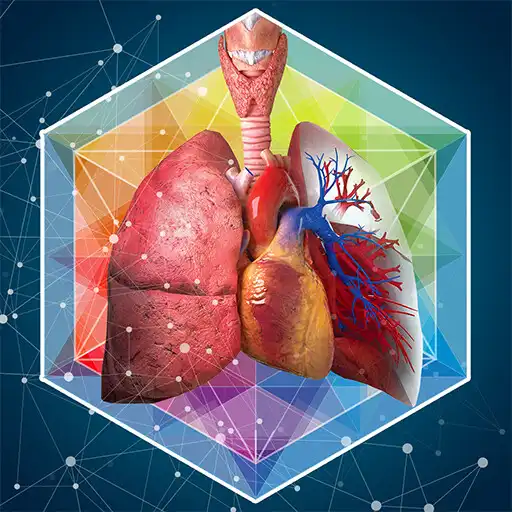 Play PAH Augmented Reality APK