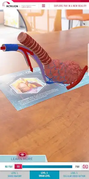 Play PAH Augmented Reality as an online game PAH Augmented Reality with UptoPlay