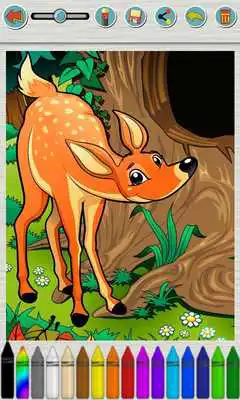 Play Paint Animals Coloring Book
