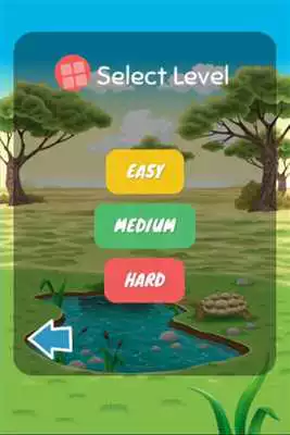 Play Pair it up!