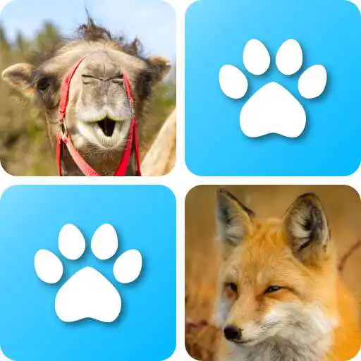Play Pairs: Animals APK Play Pairs: Animals APK