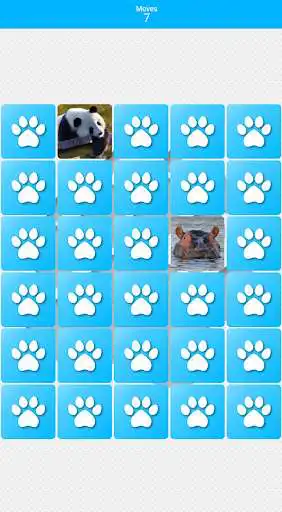 Play Pairs: Animals as an online game Pairs: Animals with UptoPlay