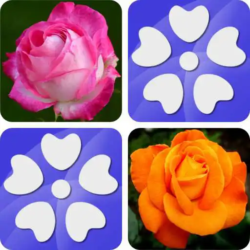 Play Pairs Flowers APK