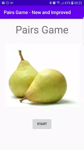 Play Pairs Game