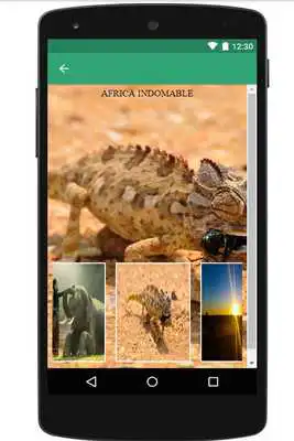 Play Paisajes Hermosos del Mundo