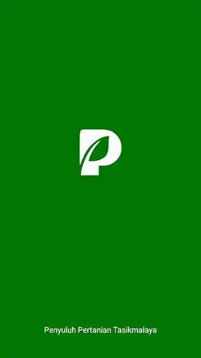 Play PAJALE +  and enjoy PAJALE + with UptoPlay