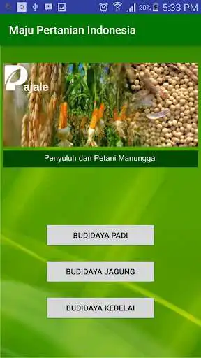Play PAJALE + as an online game PAJALE + with UptoPlay