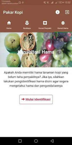 Play Pakar Kopi  and enjoy Pakar Kopi with UptoPlay