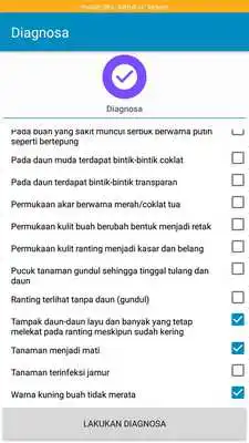 Play Pakar Tanaman Kakao