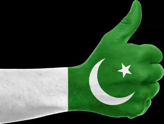 Play Pakistan Flag Face Photos 2016 Play Pakistan Flag Face Photos 2016