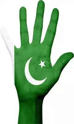 Play Pakistan Flag Face Photos 2016 Play Pakistan Flag Face Photos 2016
