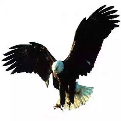 Play Palavra de Deus 24h