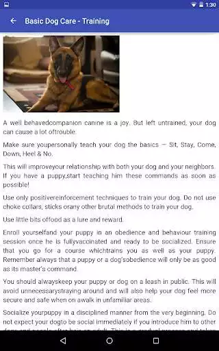 Play PAL Dog Care