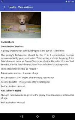 Play PAL Dog Care