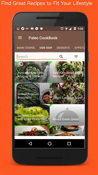 Play Paleo Diet CookBook  Recipes  and enjoy Paleo Diet CookBook  Recipes with UptoPlay