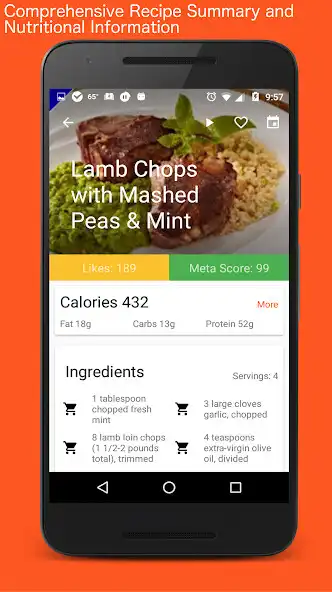 Play Paleo Diet CookBook  Recipes as an online game Paleo Diet CookBook  Recipes with UptoPlay