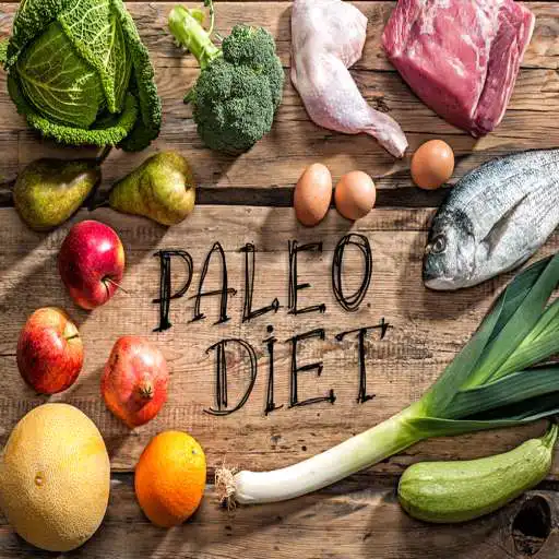 Play Paleo Diet Meal Plan For Weight Loss APK