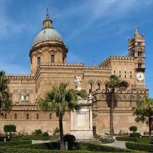 Play Palermoce App 2017 APK