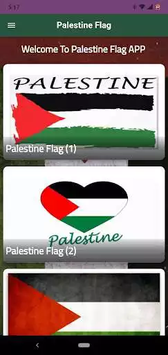 Play Palestine Flag