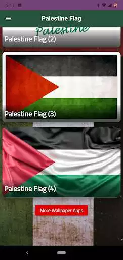 Play Palestine Flag